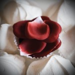 Bijoux Indiscrets Rose Petal Explosion - Ružové lupene