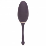 Fifty Shades of Grey Freed I've Got You Remote Control Love Egg